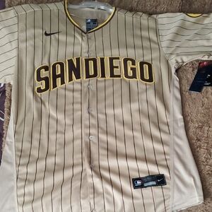 Nike Sandiego Beige and Brown Jersey